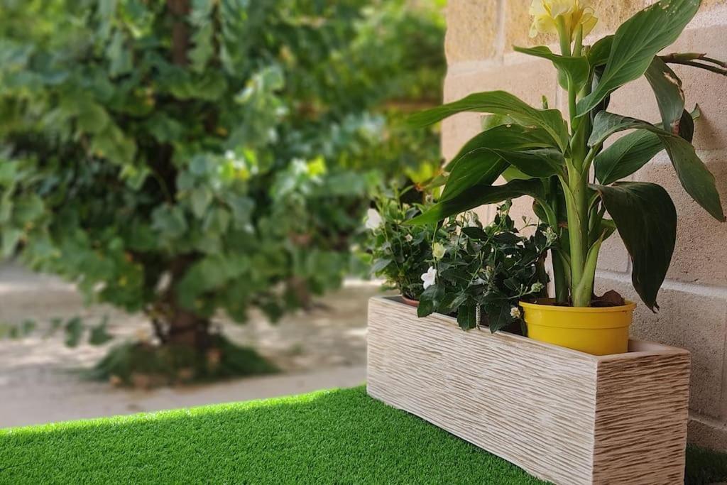Finca El Pilar Madridejos Zewnętrze zdjęcie