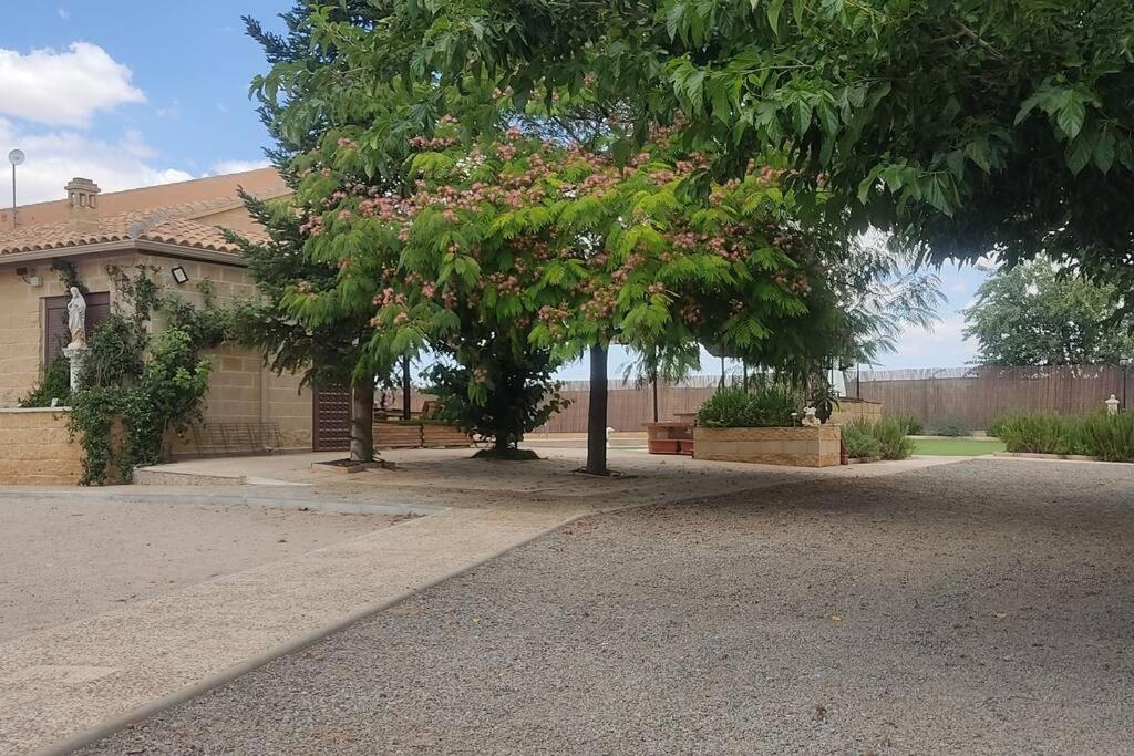 Finca El Pilar Madridejos Zewnętrze zdjęcie