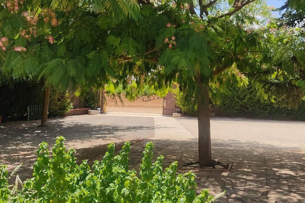 Finca El Pilar Madridejos Zewnętrze zdjęcie