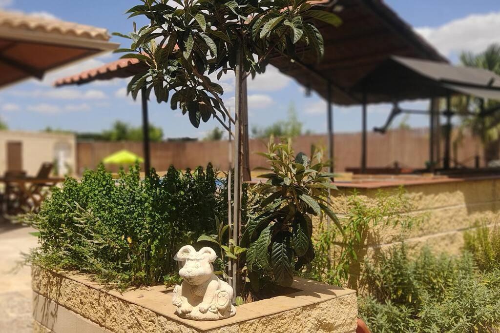 Finca El Pilar Madridejos Zewnętrze zdjęcie
